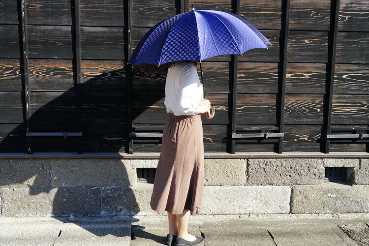 【ふるさと納税】雪華模様のオリジナル傘（サイズ65cm）カラー：ネイビー | 傘 かさ 65センチ 雨具 メンズ レディース 兼用 雪の結晶 ネイビー 紺 おしゃれ かわいい スタイリッシュ 雨 梅雨 贈答 贈り物 プレゼント 父の日 母の日 お中元 お歳暮 お祝 ご褒美 記念日 _BL10