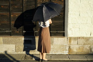 【ふるさと納税】雪華模様の折り畳み傘（サイズ60cm）カラー：ブラック かさ/メンズ/レディース/おしゃれ_BL15