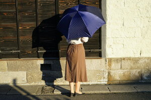 【ふるさと納税】雪華模様の折り畳み傘（サイズ60cm）カラー：ネイビー かさ/メンズ/レディース/おしゃれ_BL16