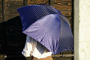【ふるさと納税】雪華模様の折り畳み傘（サイズ60cm）カラー：ネイビー かさ/メンズ/レディース/おしゃれ_BL16