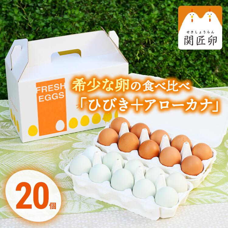 【ふるさと納税】関匠卵 ひびき+アローカナハーフセット(計20個) ※北海道・沖縄・離島への配送不可 | 卵 30個 食べ比べ 玉子 たまご タマゴ 生卵 鶏卵 アローカナ 赤玉 食べくらべ 新鮮 濃厚 青い卵 国産 ギフト 贈答 贈り物 お中元 お歳暮 プレゼント 農家直送 _CP06