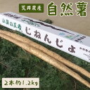 その他野菜(山芋・自然薯)人気ランク7位　口コミ数「6件」評価「4.17」「【ふるさと納税】自然薯（2本 約1.2kg）_AC01 とろろ/産地直送/野菜/ご飯のお供」