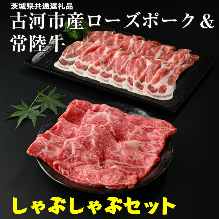 古河市産ローズポーク&常陸牛『しゃぶしゃぶセット』[茨城県共通返礼品]