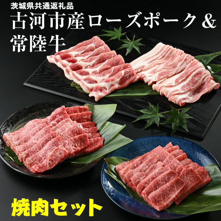 【ふるさと納税】AD10_古河市産ローズポーク＆常陸牛 焼肉セット 茨城県共通返礼品 