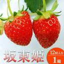 【ふるさと納税】坂東姫 12粒入×1箱 ※2025年12月下旬〜2026年2月上旬頃に順次発送予定 ※北海道・沖縄・離島への配送不可| いちご 苺 イチゴ 坂東...