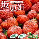 【ふるさと納税】坂東姫 2kg 不揃い訳あり|いちご 苺 イチゴ 訳あり 坂東太郎 果物 フルーツ 紅ほっぺ オリジナル ブランド 期間限定 季節物 美味しい 甘い 酸味 茨城県 古河市_CB22 ※北海道・沖縄・離島への配送不可 ※2025年12月下旬頃より順次発送予定