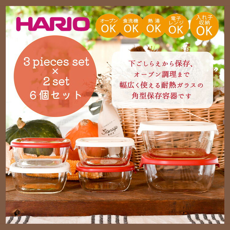 【ふるさと納税】BD32_HARIO 保存容器6個セット　ハリオ/耐熱/日用品/おしゃれ