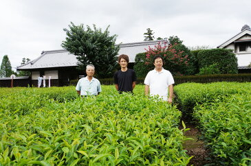 【ふるさと納税】BF08_老舗茶園の自信作！古河のさしま茶「太郎兵衛」100g×8袋〜茨城県茶園品評会入賞の高級煎茶〜