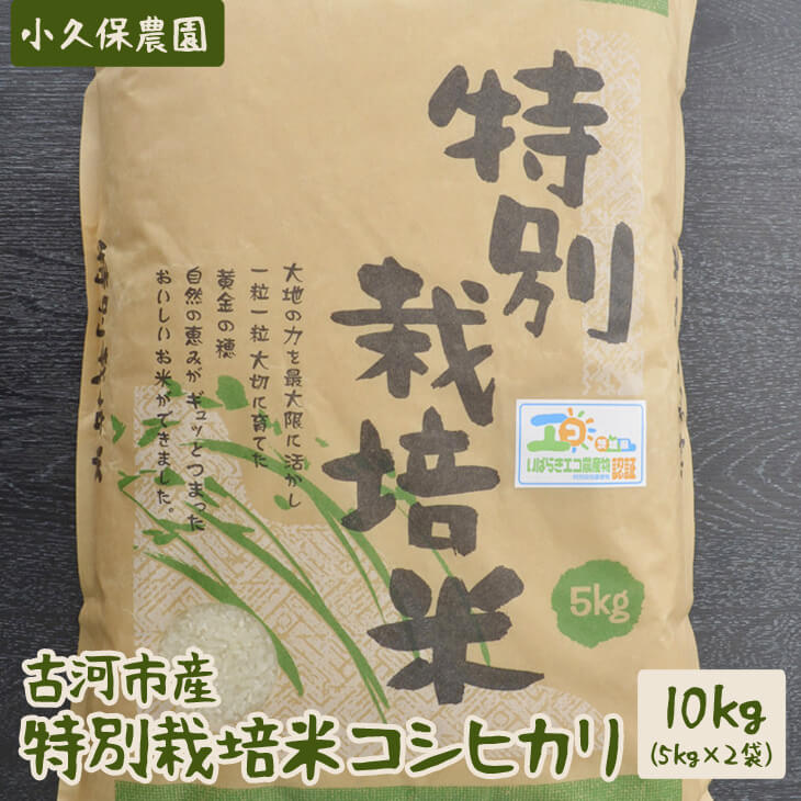 [令和5年産]古河市産 特別栽培米コシヒカリ10kg[小久保農園]_AS04