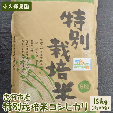 【ふるさと納税】AS05_古河市産　特別栽培米コシヒカリ15kg【小久保農園】