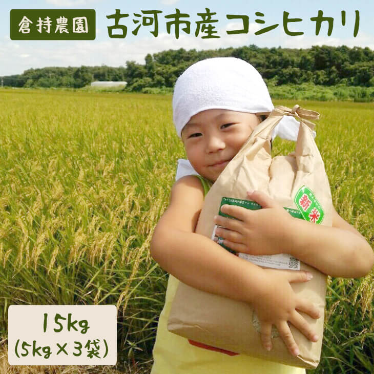 【ふるさと納税】【令和5年産】古河市産 コシヒカリ15kg【