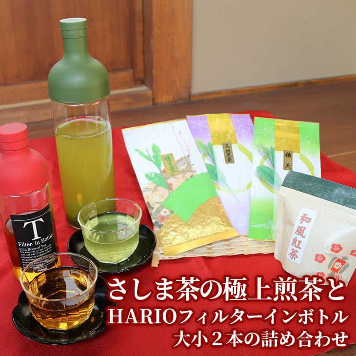 【ふるさと納税】BA05_水出しでおもてなし！さしま茶の極上煎茶とHARIOフィルターインボトル大小2本の詰め合わせ　水だし/日本茶/煎茶/ハリオ/