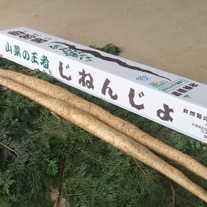【ふるさと納税】AC01_自然薯(2本 1kg)とろろ/産地直送/野菜/ご飯のお供が大人気返礼品になっている理由とは ふるさと納税 人気 返礼品 ランキング