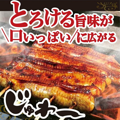 うなぎ蒲焼き&白焼きセット（蒲焼き：160g×2・白焼き：160g×2）_AT06