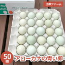 【ふるさと納税】ふるさと納税 たまご 江原ファーム アローカナの青い卵 50個 割れ補償 玉子 たまご タマゴ 生卵 鶏卵 生みたて 産みたて アローカナ 新鮮...