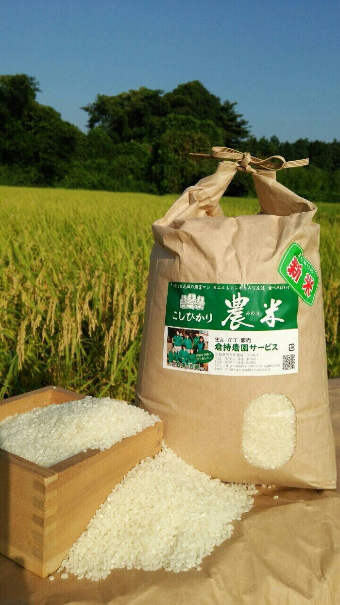 米 パン ふるさと納税の返礼品一覧 人気順 21年 ふるさと納税ガイド 米 パン ふるさと納税の返礼品一覧 人気順 21年 ふるさと納税ガイド