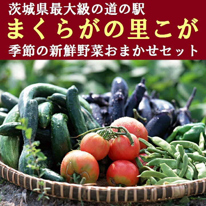 道の駅まくらがの里こが 季節の新鮮野菜おまかせセット_BQ02※沖縄、離島への発送不可