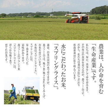 【ふるさと納税】BI03_1年間毎月届く!低農薬米こしひかり(偶数月)とミルキークイーン(奇数月)5kg定期便 ※季節の特産品付き 米/コシヒカリ/60kg/セット商品/頒布会