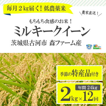 【ふるさと納税】BI04_1年間毎月届く！低農薬米ミルキークイーン2kg定期便　※季節の特産品付き　年間24kg 米 ギフト 特別栽培米