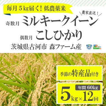 【ふるさと納税】BI03_1年間毎月届く!低農薬米こしひかり(偶数月)とミルキークイーン(奇数月)5kg定期便 ※季節の特産品付き 米/コシヒカリ/60kg/セット商品/頒布会