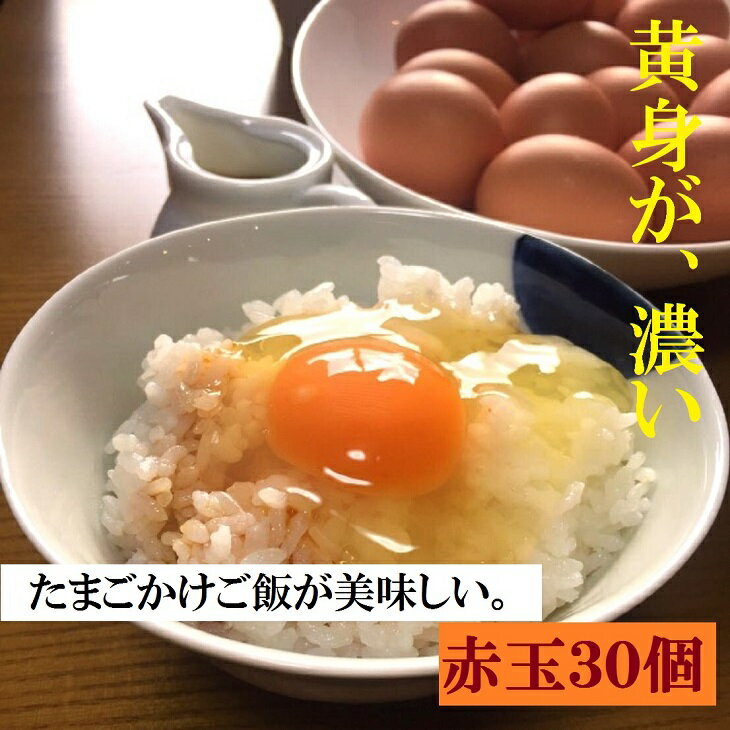 【ふるさと納税】ふるさと納税 たまご 江原ファーム 体に優しい地養卵（30個）タマゴ 生みたて 新鮮_AG03