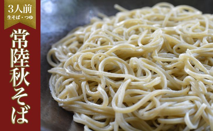 【ふるさと納税】茹でるだけ！ツルッとなめらかな喉越し！生そば3人前・つゆ付き≪ 生そば 手打ち 無添...