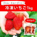 1位! 口コミ数「0件」評価「0」摘みたて！便利な小分け！冷凍いちご1kg(500g×2)_BI08