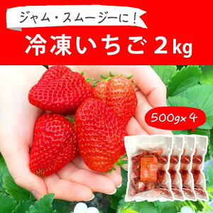 【ふるさと納税】摘みたて!便利な小分け!冷凍いちご2kg(500g×4)|いちご 苺 イチゴ 2キロ 冷凍 フルーツ 小分け おいしい ジャム スムージー かき氷 いばらキッス 紅ほっぺ よつぼし 恋みのり 贈答 贈り物 プレゼント 茨城県 古河市 直送 農家直送 産地直送 送料無料_BI09