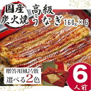 小松園のうなぎ蒲焼　ふろしき付（160g×6）_AT11