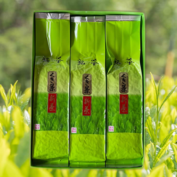 【ふるさと納税】【新茶】銘茶・くき茶・新茶 200g×3本（箱入り）_CZ85※離島への配送不可※着日指定不可