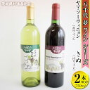 【ふるさと納税】八千代夢ワインシリーズ ヤマ・ソーヴィニョン(赤)・きぬ(白)2本セット【茨城県共通返礼品・八千代町】※沖縄県への配送不可|お酒 洋酒 瓶 1....