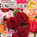 18位! 口コミ数「103件」評価「4.95」生産農家直送！大輪のバラ花束　20本セット_AL01※沖縄・離島への配送不可