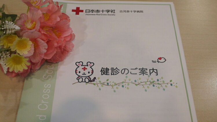 【ふるさと納税】古河赤十字病院 日帰り人間ドック | 人間ドック 健診 健康診断 病院 生活習慣病 早期診断 早期発見 検査 健康 診断 医療 予約 赤十字 茨城県 古河市 _GB01その2