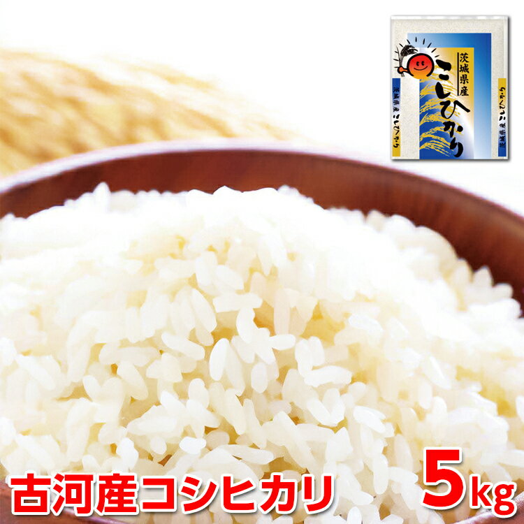 46位! 口コミ数「0件」評価「0」令和5年産 古河産コシヒカリ（5kg）_DP07