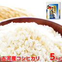 【ふるさと納税】【新米】令和7年産 古河産コシヒカリ(5kg)|米 コメ こめ ごはん ご飯 ゴハン 白飯 単一米 国産 コシヒカリ こしひかり 5kg 茨城県...