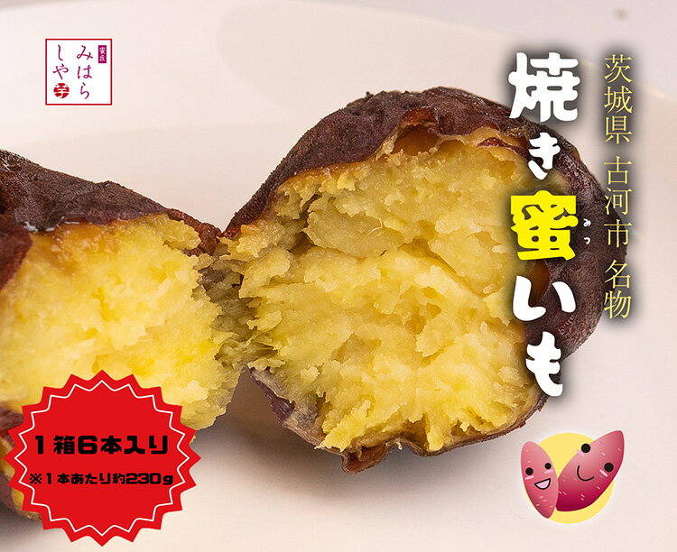 【ふるさと納税】【スイーツのような甘さ】焼き蜜いも（1箱6本入り）_DP12