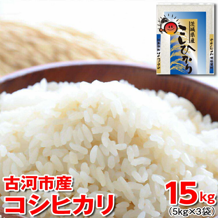 令和5年産 古河市産コシヒカリ 15kg(5kg×3袋) 米 こめ コメ こしひかり 単一米 国産_DP21