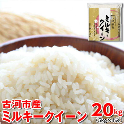 楽天ふるさと納税　【ふるさと納税】令和5年産 古河市産 ミルキークイーン 20kg（5kg×4袋） 米 こめ コメ 単一米 国産_DP25