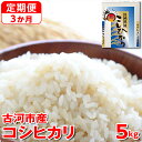 17位! 口コミ数「0件」評価「0」【定期便 3か月】令和5年産 古河市産コシヒカリ 5kg 米 こめ コメ こしひかり 単一米 国産_DP34