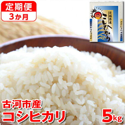 【定期便 3か月】令和5年産 古河市産コシヒカリ 5kg 米 こめ コメ こしひかり 単一米 国産_DP34