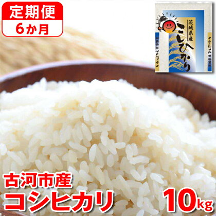 【定期便 6か月】令和5年産 古河市産コシヒカリ 10kg | 米 こめ コメ こしひかり 単一米 国産_DP44