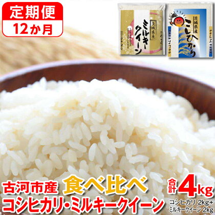 【定期便 12か月】令和5年産 古河市のお米食べ比べ コシヒカリ・ミルキークイーン　2kg×2種類 | 米 こめ コメ こしひかり 単一米 国産 4kg_DP51