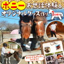 【ふるさと納税】ポニーお世話体験&オリジナルグッズ作り 1名分 | ネーブルパーク ポニー 厩務体験 体験 公園 子供 子ども 休日 夏休み 冬休み GW 贈り...