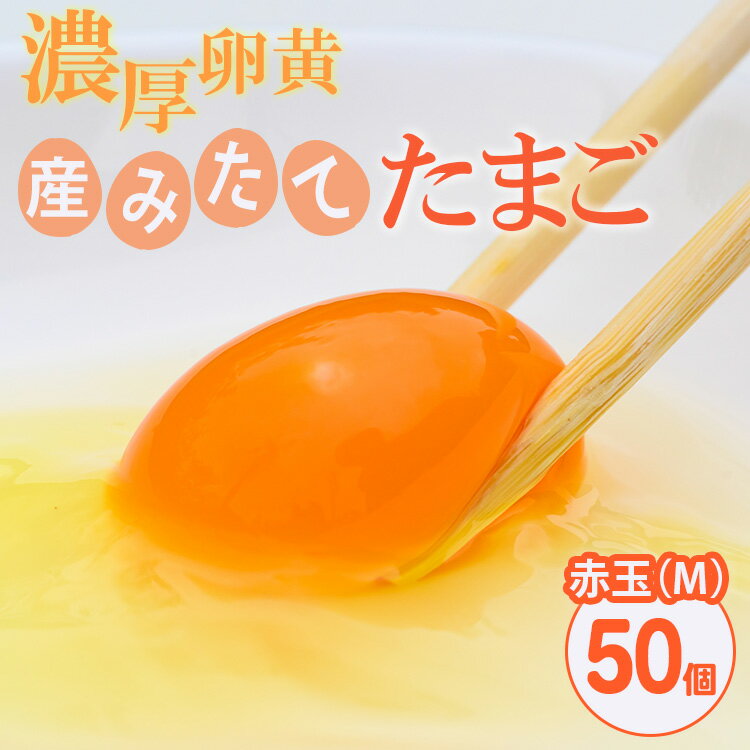 【ふるさと納税】小久保ファーム 濃厚卵黄 産みたてたまご 赤玉50個入り(M玉)|卵 50個 赤玉 玉子 たまご タマゴ 生卵 鶏卵 生みたて 産みたて 新鮮 濃厚 健康 TKG たまごかけごはん ご飯のお供 国産 ギフト 贈答 贈り物 お中元 お歳暮 プレゼント 古河市 農家直送 _EI02