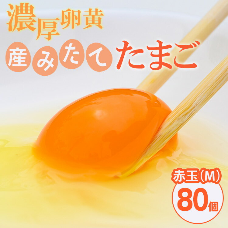 【ふるさと納税】小久保ファーム 濃厚卵黄 産みたてたまご 赤玉80個入り(M玉)|卵 80個 赤玉 玉子 たまご タマゴ 生卵 鶏卵 生みたて 産みたて 新鮮 濃厚 健康 TKG たまごかけごはん ご飯のお供 国産 ギフト 贈答 贈り物 お中元 お歳暮 プレゼント 古河市 農家直送 _EI03