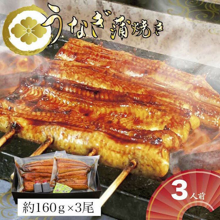 【ふるさと納税】うなぎ蒲焼3人前（1人前約160g×3）贈答用パッケージ｜お取り寄せ グルメ 国産 鰻 お歳暮 御歳暮_AT03