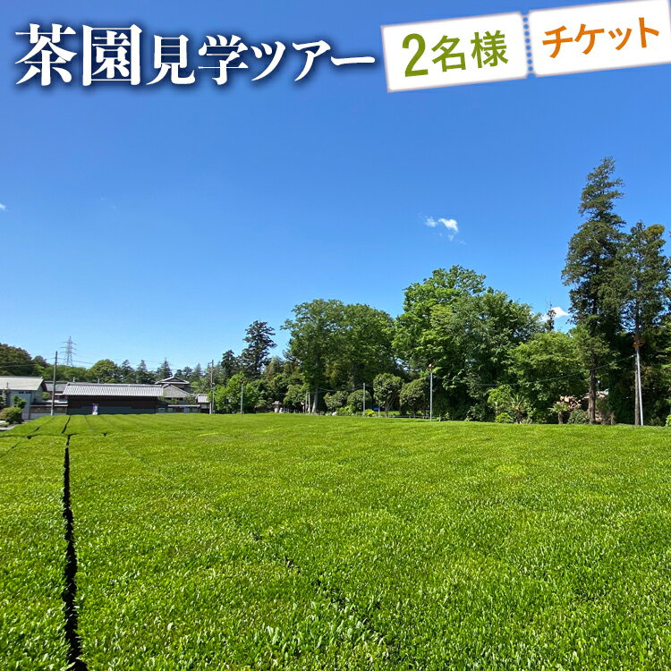 【ふるさと納税】茶園見学ツアー2名様チケット | 体験 茶園 老舗 さしま茶 猿島茶 和紅茶 いずみ 吉田茶園 茨城県 古河市 関東 送料無料 _BM06