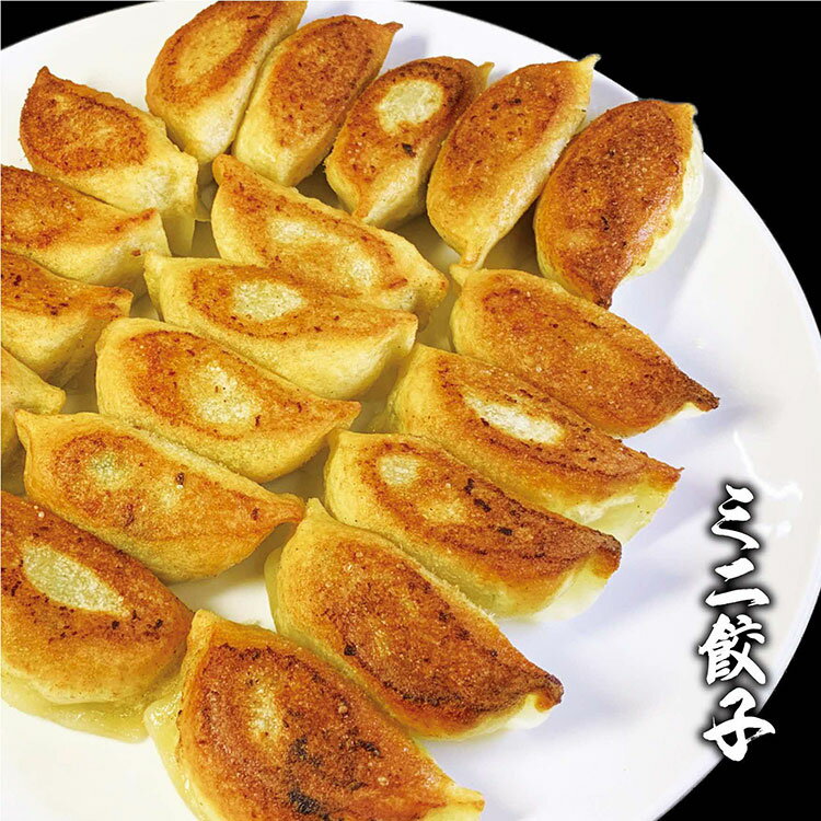 【ふるさと納税】ミニ餃子三昧セット(M6)ミニ餃子3包み(6人前)|丸満 餃子 ぎょうざ ギョウザ ミニ餃子 簡単調理 惣菜 おつまみ 餃子 焼餃子 マルマン ...