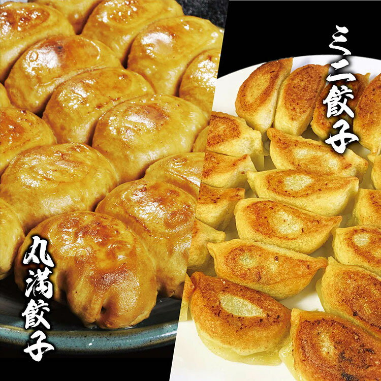 【ふるさと納税】焼餃子ミニセット(MM+)焼餃子7包み(14人前)・ミニ餃子7包み(14人前) ※着日指定不 | 丸満 餃子 ぎょうざ ギョウザ ミニ餃子 簡単...