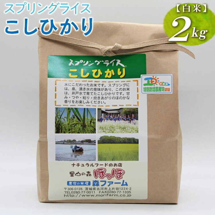 6位! 口コミ数「0件」評価「0」スプリングライス こしひかり (白米)2kg_BI24※着日指定不可